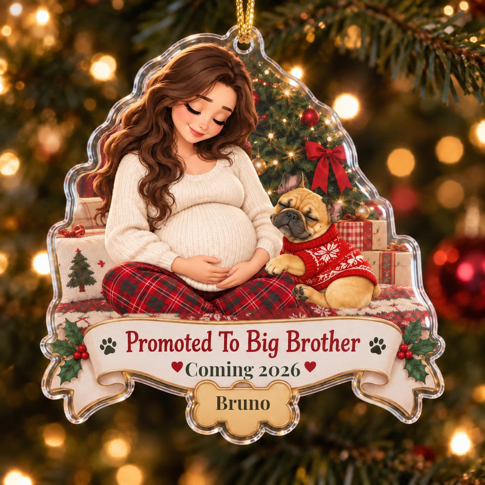 Big Brother Pet Ornament